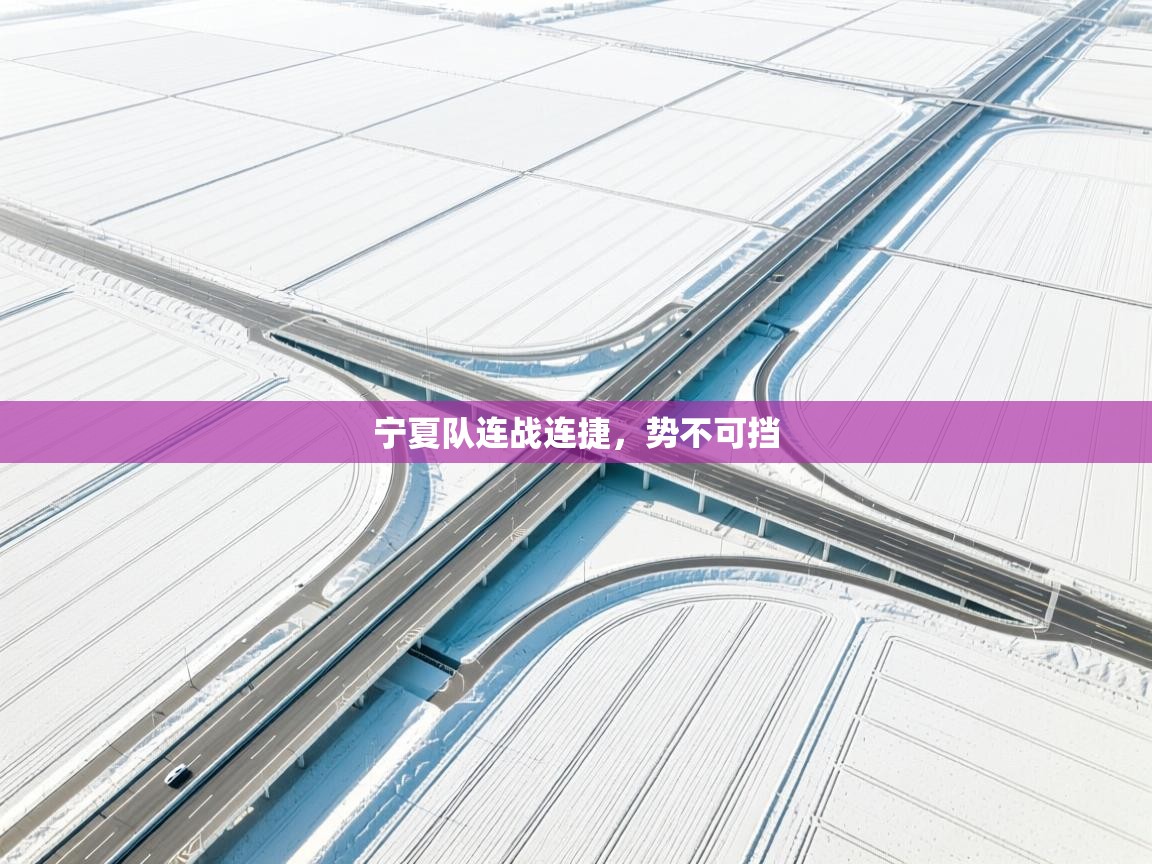 宁夏队连战连捷，势不可挡  第1张