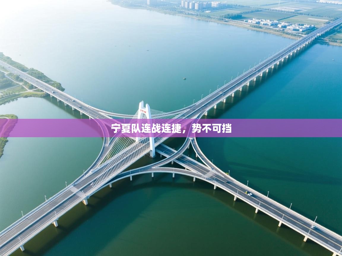 宁夏队连战连捷，势不可挡  第2张