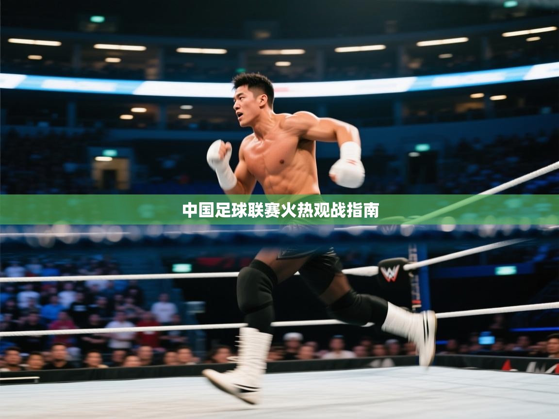 中国足球联赛火热观战指南 第2张